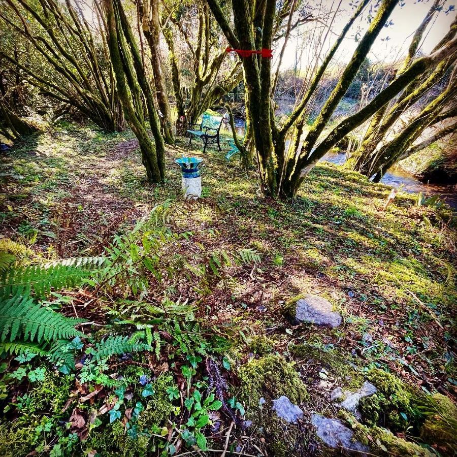 Hotel Stepping Stones Glamping Little Red Bantry Exteriér fotografie
